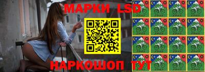 стаф Бугуруслан