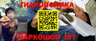 стаф Бугуруслан