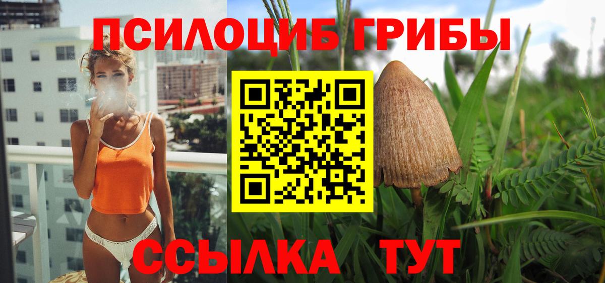 Конаково  Псилоцибиновые грибы Psilocybe  Вход с VPN  Галлюциногенные грибы Magic Shrooms 