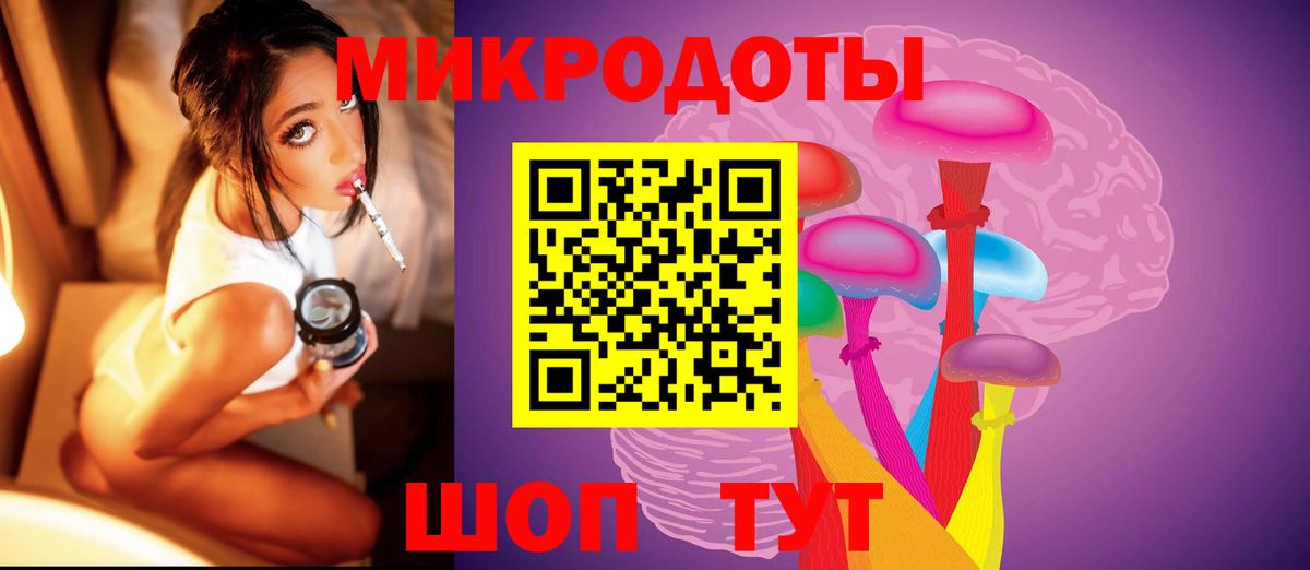 Псилоцибиновые грибы Cubensis Конаково